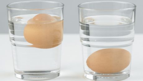 teste o ovo antes de quebrar 3 tres ingredientes